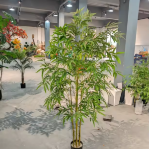 Bamboo Plant